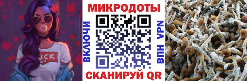 Галлюциногенные грибы GOLDEN TEACHER  мега маркетплейс  Грозный 